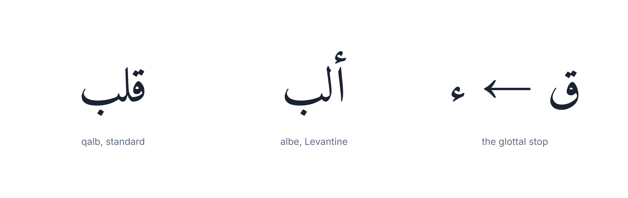 Arabic dialects: the Levantine glottal stop replacing the standard qaf