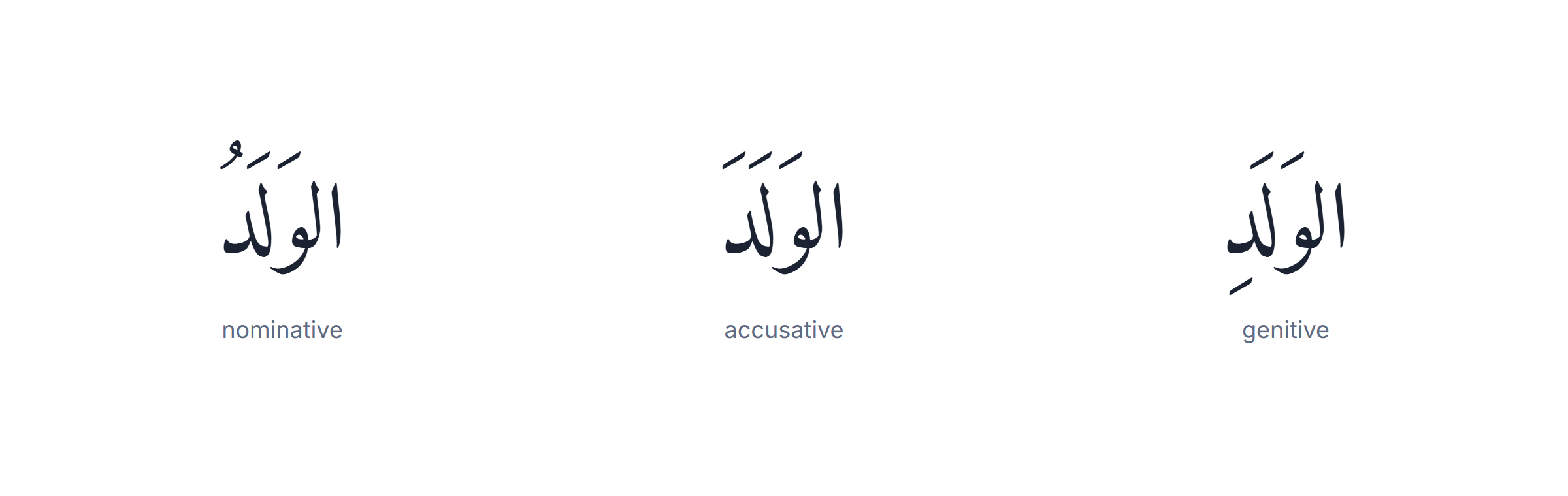 Arabic grammar rules: the same noun shown with nominative, accusative and genitive endings