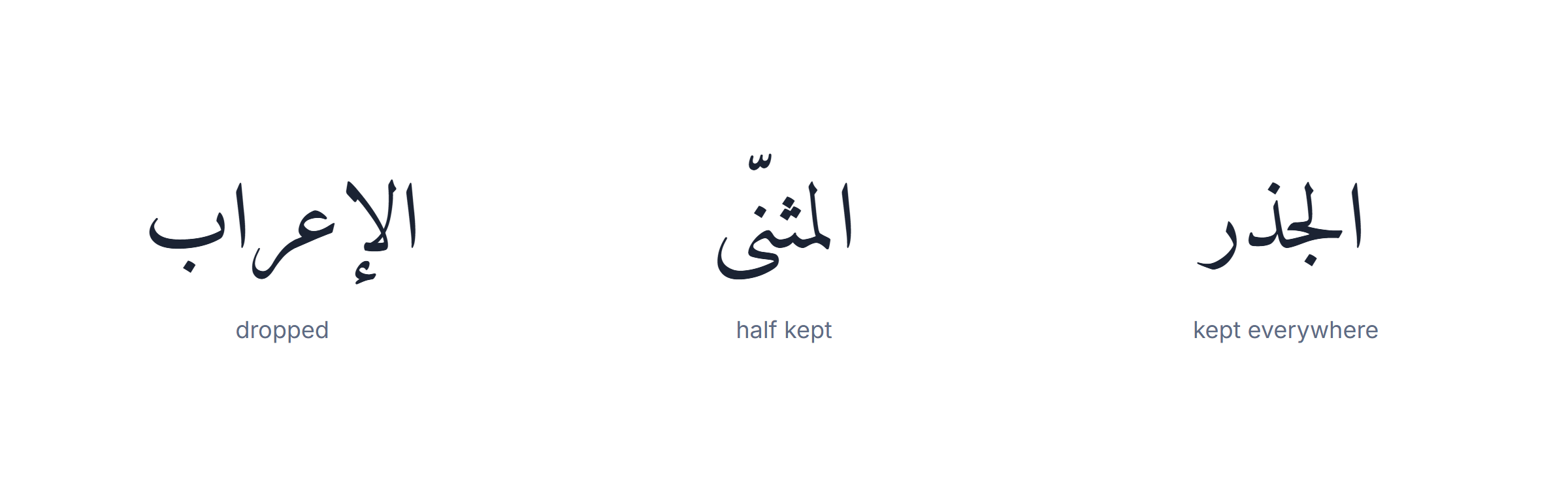 Arabic grammar rules: which rules Modern Standard Arabic keeps and which the spoken dialects drop