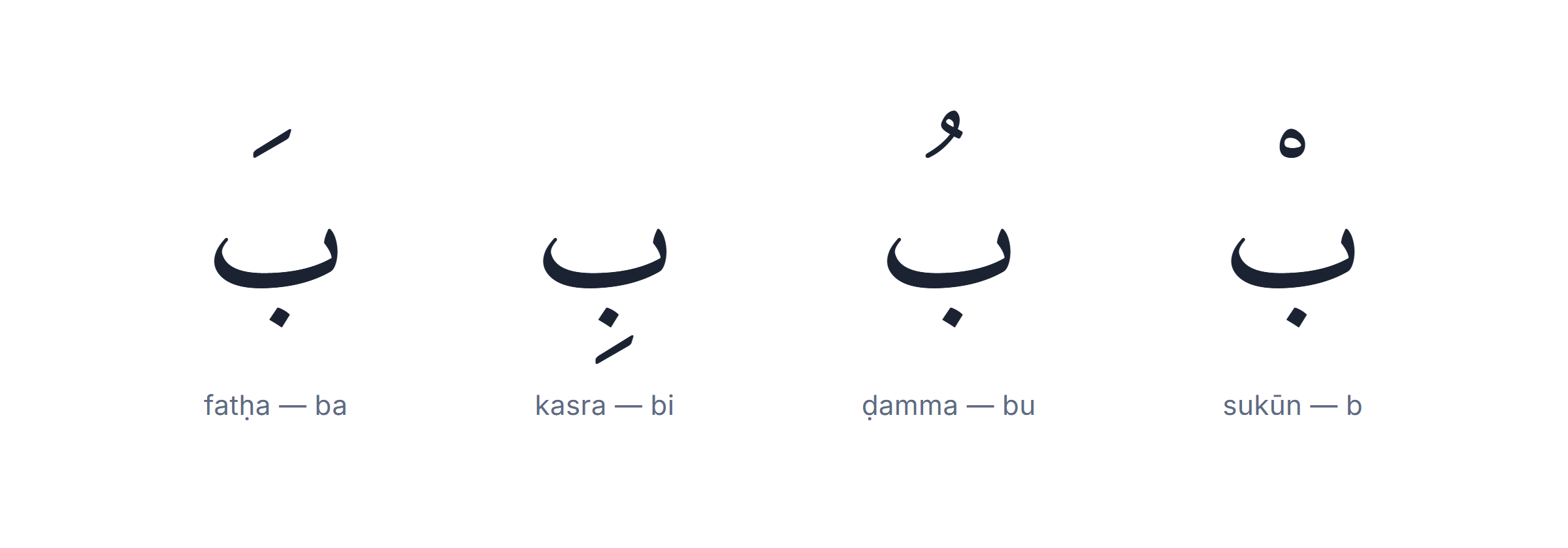 The letter baa with fatha, kasra, damma and sukun — the four core Arabic harakat