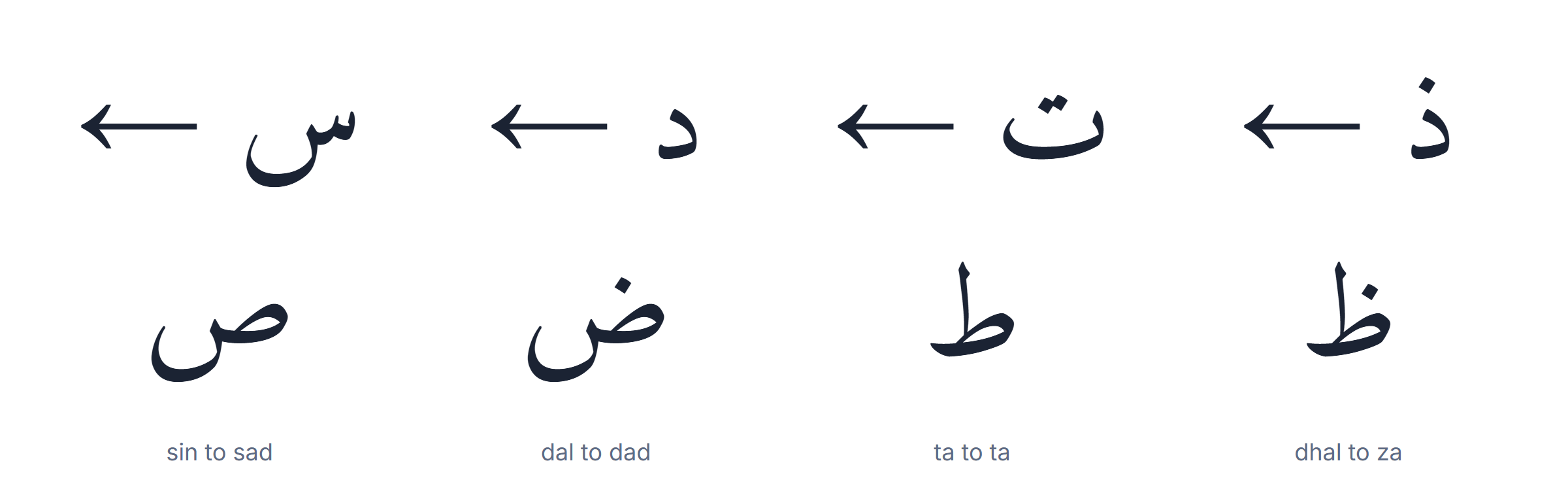 The four emphatic Arabic letters sad, dad, ta and za compared with their plain counterparts