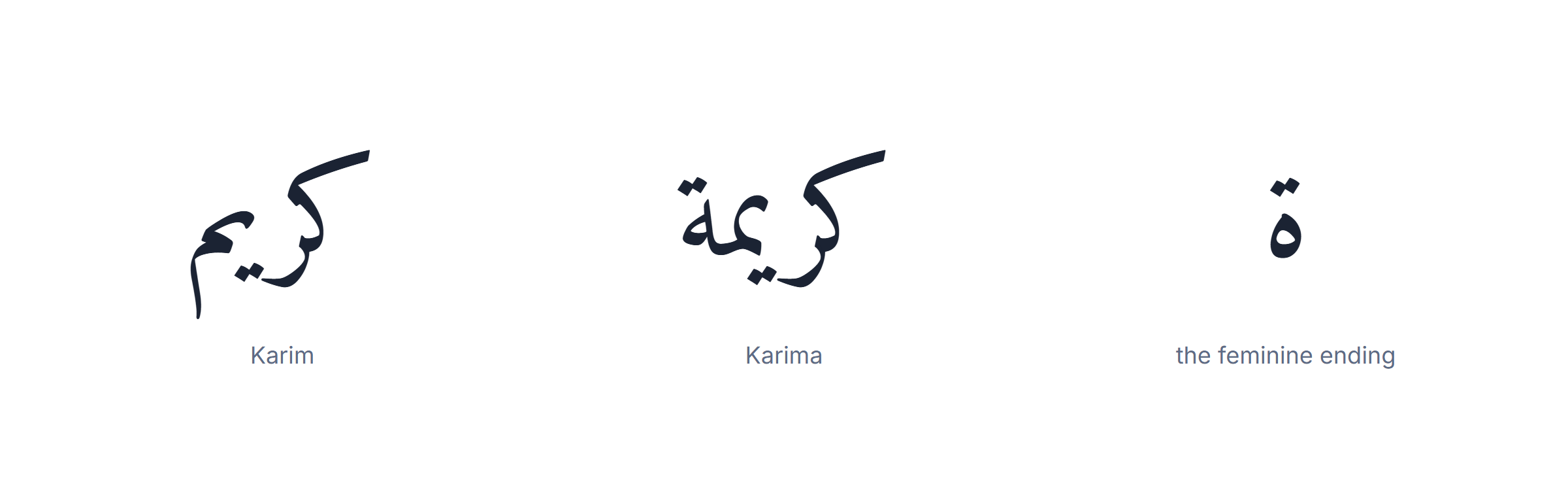 Arabic name generator: an Arabic name in its masculine and feminine forms
