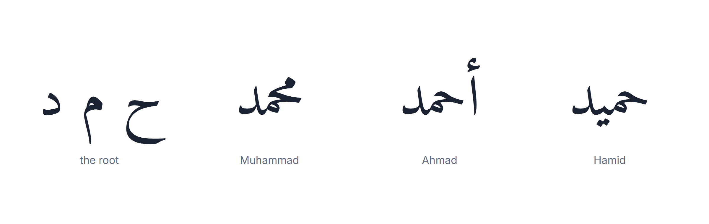 Arabic name generator: one trilateral root producing three different Arabic names