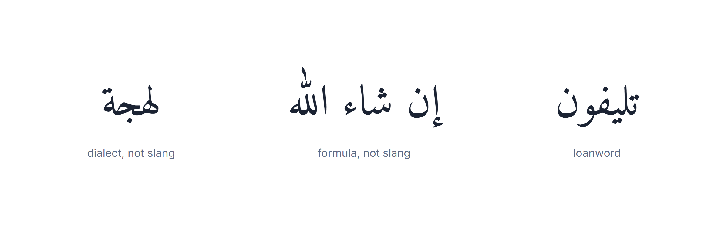 Words mistaken for Arabic slang: loanwords, dialect grammar, religious formulas and regional standard vocabulary