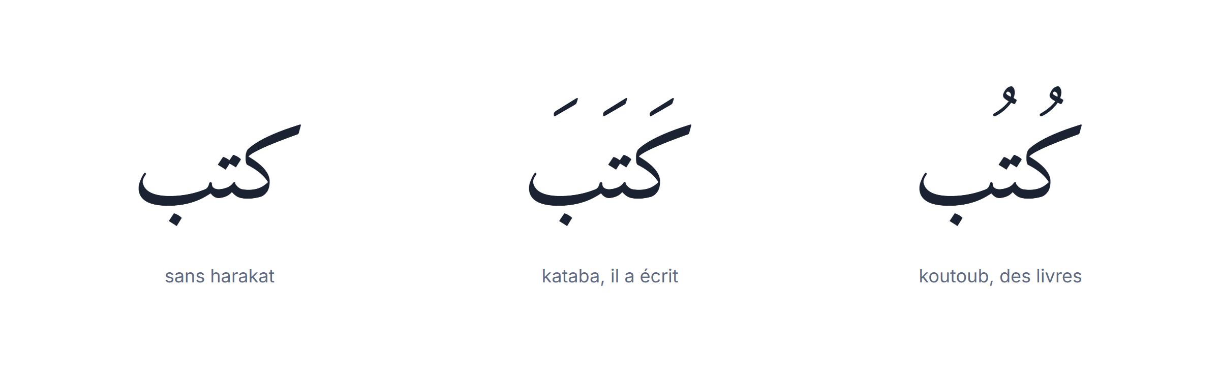 Les harakat sur un clavier arabe : les mêmes lettres donnent des mots différents
