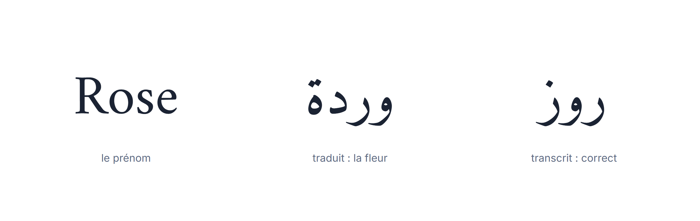 Écrire son nom en arabe : un prénom traduit par erreur au lieu d'être transcrit